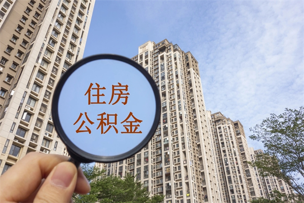 桐城辞职多久公积金可以全部取出来吗（辞职之后公积金多长时间可以取）